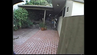 A Young Brunette Fucked Well in the Ass