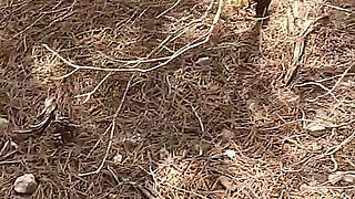 Kinky Couple - Finding and Fucking Curvy Big Ass Blowjob MILF in the Forest