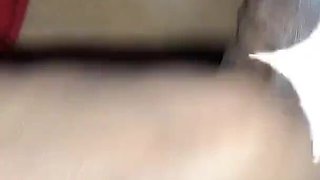 Bhabhi Sucked the Dick While Sitting