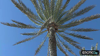 Two Girlfriends Suck Their Vacation Acquaintance's Trunk