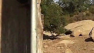 Mindi Mink, Samantha Rone MILF Romance