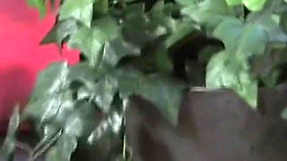 Two beautiful lesbians enjoys pussy licking and dildo fucking