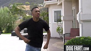Busty Babe Adira Allure Compilation - Dogfart