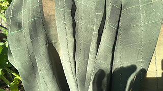 Married Step Sister Has Fun with Her Step Brother in the Village Fields XXX Video Full He