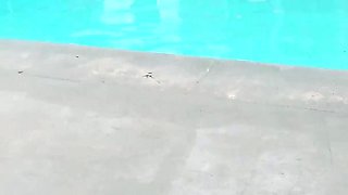 Scarlett Johnson Sucks Dick at the Pool