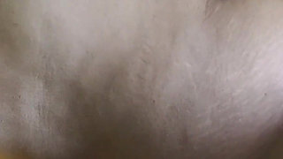 Hot Indian Beautiful Bhabhi Sex Video Desi Local Teen Bhabhi Sex Video