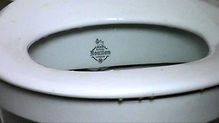 Toilet Slave
