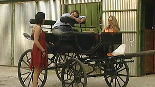 Sexy German bitches enjoying hardcore foursome action