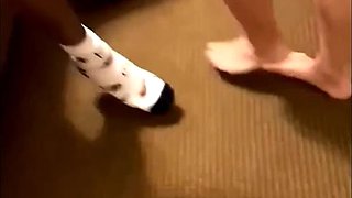 Busty tits Squirter Takes BIG BLACK PENIS