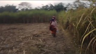 Bhabhi Was Fucked in the Sugarcane Field