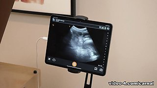 Shay's Anal Ultrasound - SHAY Vol. 1 - Carnal Plus