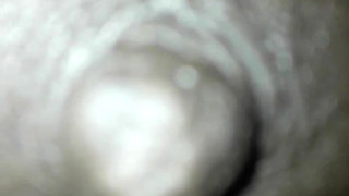 Big Ass Indian Xvideo