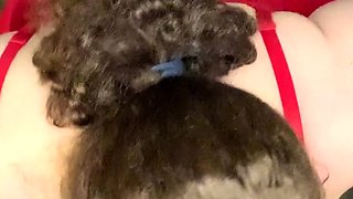Glory Hole Blowjobs and Brunettes