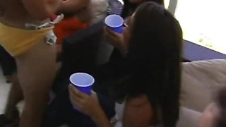 Dancing Bear - strip clip