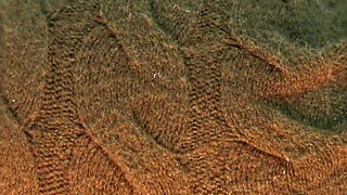 Under Skirt Is Better! - Lilykoti