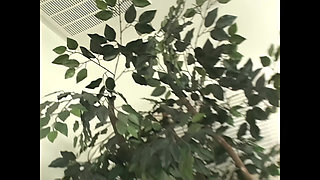 Hollie Stevens' Majestic Ass for a Big Legendary Cock