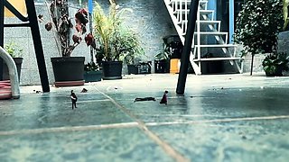 Rise of the Giantess - Giantess Gabriella - Gross There Are