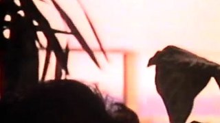 Amateur Wife Blowjob POV Hardcore Deepthroat