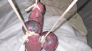 Goode Girl CBT Wrapped, Weighted and Waxed