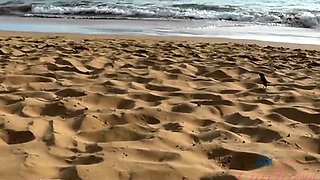 Gorgeous bikini blonde outdoor quickie
