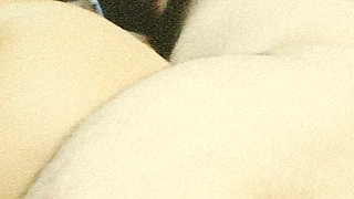 Puchis - Horny Latina MILF Wants Anal and Creampie