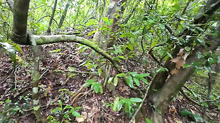 Thai Teenager Walks around Picking Mushrooms and Gets Fucked in the Pussy. Thai Audio