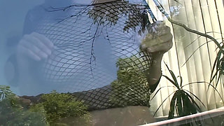 Mia and Her Males (part 2)