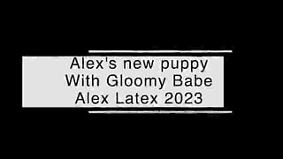 Alex Latex Pet Play: New Puppy Full Video