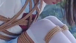 The Scenery Inside the Window Is so Wonderful