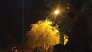 Thick BBW Wife Public Fun!