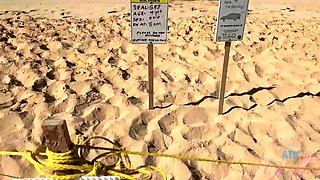 ATK Girlfriends-Feeling Relaxed On Vacation, She Decided To