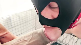 dominant wife let’s hubby suck cock while she pegs him