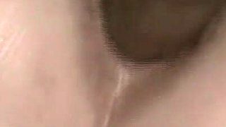 The Spider Eat Milk