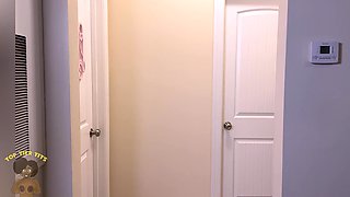 Megan's Fun-Sized Titfuck Ignites Ebony Passion in 4K