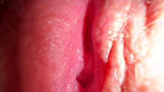 Extremely close up pussy worship