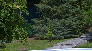 Eva Barbie Gets Rough BBC Anal Outdoors