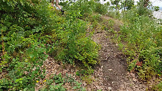 Without Pants in the Cold Forest