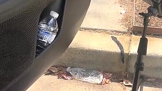 Hot amateur european foot and pantyhose fetish