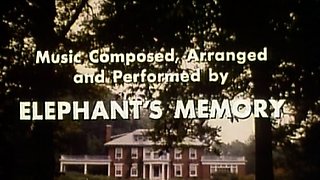 Hardcore pornstar Brandi Lyons adores anal sex