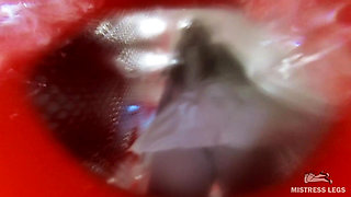 Open Wide - Mistress Pees Directly Into Your Mouth