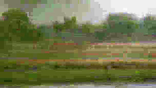 Checking Virginity Before Marriage