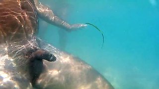 DreamStudioCouple Naked Beach Sex - Big Tits Amateur MILF Doggystyle Fuck & Real Orgasm