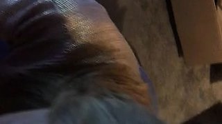 Erotic amateur girl giving blowjob and titjob in POV