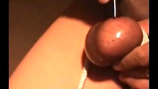 Testicles skewered and drained with pins