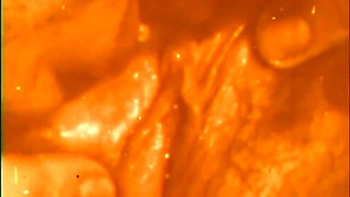 A giant big cock for a wild nasty bitch