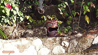 Mexican Meat Under the Sun