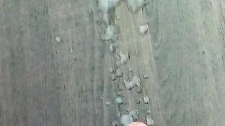 3 Cumshots Within 24 hours