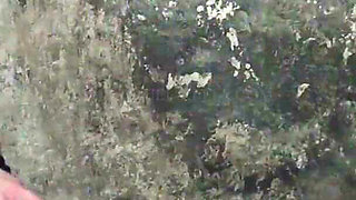 Deyottd4iab43oxkeq2c