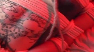 Innocent Teen Bondage Anal Fuck - Shibari, Doxy and First Show