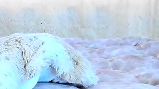 Brunette Solo Webcam Masturbation